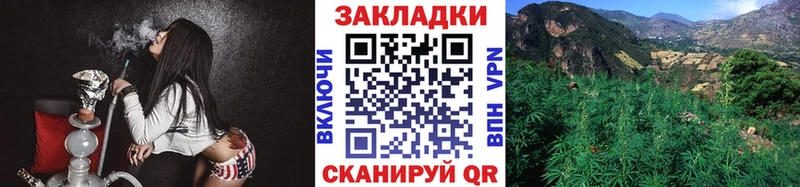Меф Сосновоборск