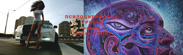 спиды Алексин