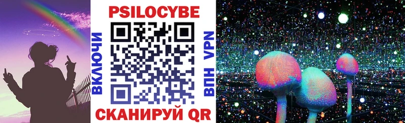 закладка Сосновоборск Псилоцибиновые грибы Cubensis